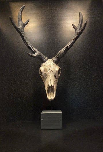 Hert Taxidermie replica montage - Cervidae - 50 cm - 31 cm -