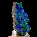 Azuriet op malachiet - Czar Mine, Copper Queen Mine, Bisbee,