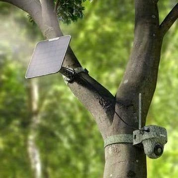 Reolink Wildlife 4K camera G450 + Zonnepaneel 4G, Ophalen of Verzenden, Nieuw