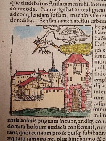Sebastian Münster (1489–1552) - Cosmographia Universalis -