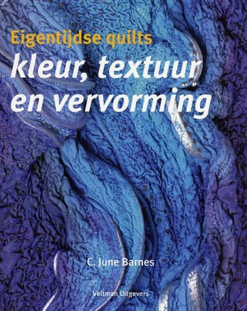 Eigentijdse quilts - C. June Barnes 9789048302505, Verzenden, Zo goed als nieuw, C. June Barnes