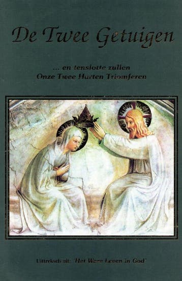 De twee getuigen - Vassula Ryden - 9789075395129 - Paperback, Verzenden, Nieuw