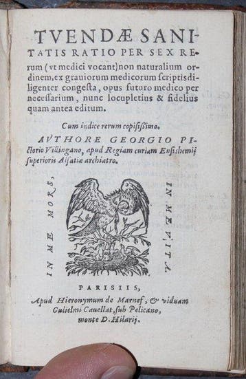 Johann Curio und Jacob Crell - Regimen Sanitatis