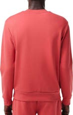 2dekans | Lacoste Sweater Rood - Maat S - Heren - Sweaters, Kleding | Heren, Lacoste, Nieuw, Ophalen of Verzenden, Rood