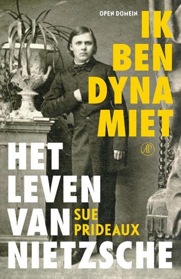 Ik ben dynamiet / Open Domijn / 54 9789029523790, Verzenden, Zo goed als nieuw, Sue Prideaux