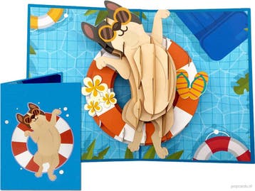 Grappige zonnebadende Hond met Zonnebril in Zwembad pop-u..., Verzenden, Nieuw