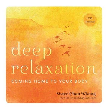 Deep Relaxation - Sister Chan Khong 9781937006273, Verzenden, Zo goed als nieuw, Sister Chan Khong
