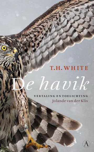 De havik - T.H. White 9789025302818, Verzenden, Gelezen, T.H. White