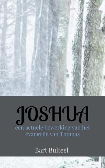 JOSHUA - Bart Bulteel 9789464350494, Verzenden, Gelezen, Bart Bulteel