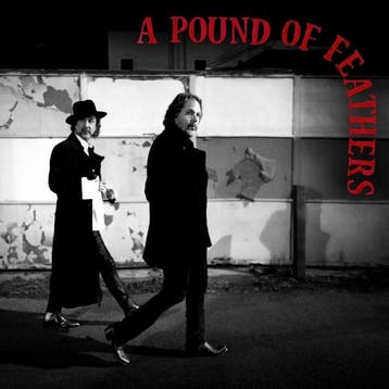 lp nieuw - black crowes - A POUND OF FEATHERS (nieuw), Verzenden, Zo goed als nieuw, Overige formaten