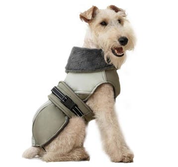 Honden winterjas groen met bontkraag (Hondenjas), Ophalen of Verzenden, Nieuw, Hondenjas