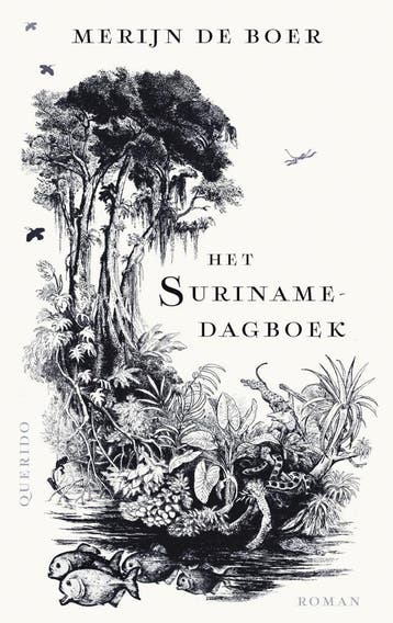 Het Surinamedagboek (Goed), Verzenden, Gelezen, Merijn de Boer