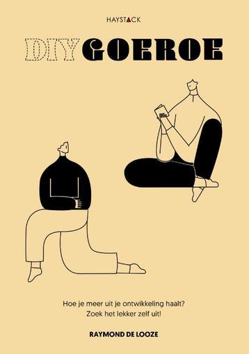 DIY goeroe - Raymond de Looze 9789461264206, Boeken, Verzenden, Zo goed als nieuw, Raymond de Looze