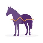 Overlijdensrisicoverzekering voor je paard, Dieren en Toebehoren, Paarden