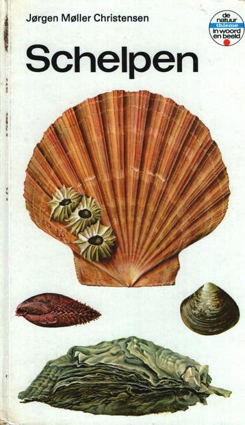 Schelpen - Christensen 9789003954008, Verzenden, Zo goed als nieuw, Christensen