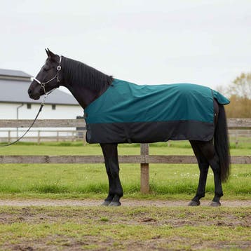 vidaXL Paardendeken Donkergroen en Zwart 155 cm Polyester, Dieren en Toebehoren, Paarden en Pony's | Overige Paardenspullen, Verzenden