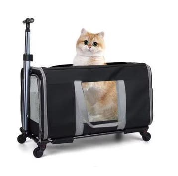Kattenwagen met Wielen – Grote Transporttas voor 2 Katten, Verzenden, Nieuw