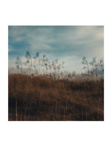 Ben Dauchez - Variation sur les dunes #2, Antiek en Kunst
