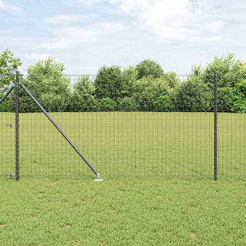 vidaXL Europese Heining met Punten 10 x 1,4 m PVC-Coated, Verzenden, Nieuw, IJzer