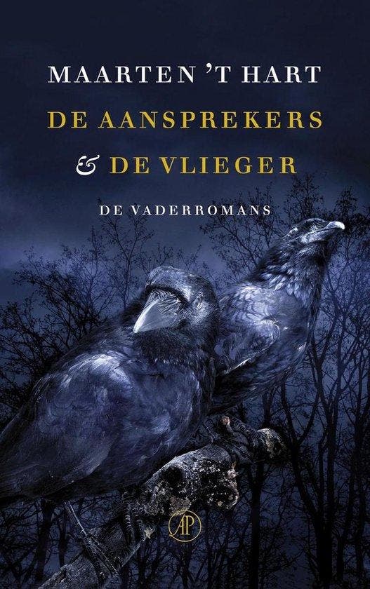 De aansprekers & De vlieger - 't Hart, Boeken, Romans, Gelezen, Verzenden