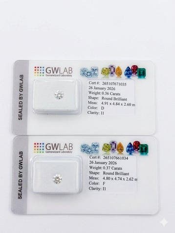 2 pcs Diamant (Natuurlijk) - 0.73 ct - Rond - F, D, Nieuw