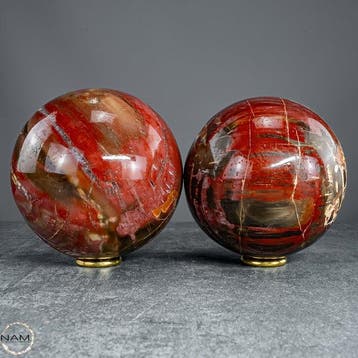 Versteend hout-kogelset – twee fascinerende