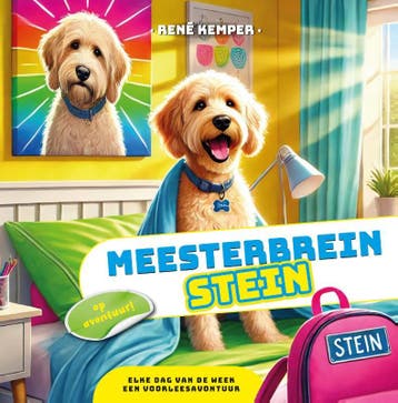 Meesterbrein Stein | René Kemper | Nieuw, Ophalen of Verzenden, Nieuw, René Kemper