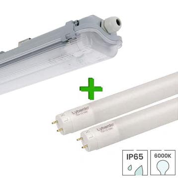 LED TL armatuur IP65 150 cm incl. 2x LED TL buis 24W 6000K, Verzenden, Nieuw, Functioneel