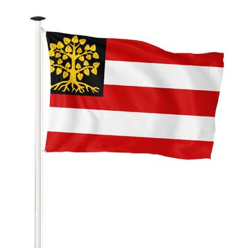 Vlag Den Bosch 200x300cm (voor masten 7 en 8 meter), Nieuw
