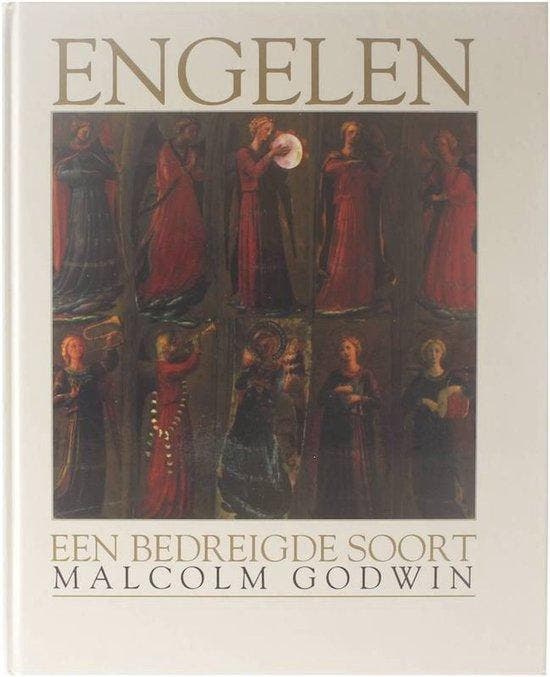 ENGELEN 9789059470439 M. Godwin, Boeken, Overige Boeken, Gelezen, Verzenden
