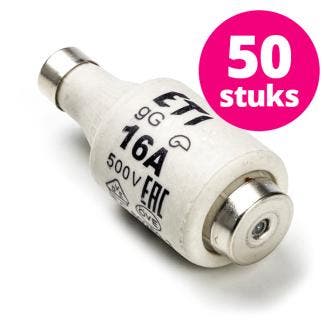 Smeltzekering | Q-link (Traag, 16A, 50 stuks, Grijs), Doe-het-zelf en Verbouw, Elektra en Kabels, Verzenden, Nieuw