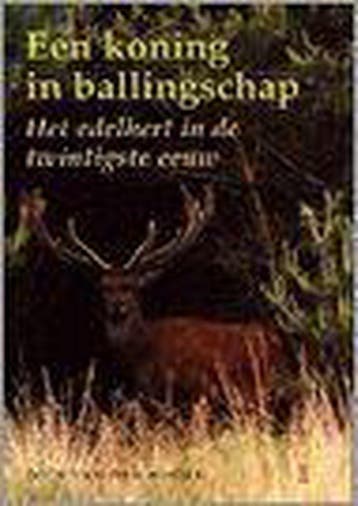 KONING IN BALLINGSCHAP - D. van den Hoorn 9789024603558, Verzenden, Gelezen, D. van den Hoorn
