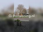 Ruil jouw woning in Ede met ons huis in Ochten