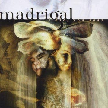 cd - Madrigal - I Die, You Soar, Verzenden, Zo goed als nieuw