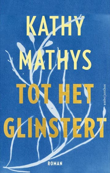 Tot het glinstert - Kathy Mathys 9789026366017, Verzenden, Gelezen, Kathy Mathys