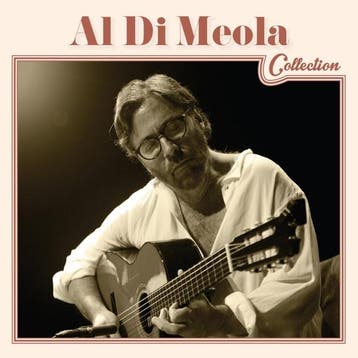 cd - al di meola - AL DI MEOLA COLLECTION (nieuw), Verzenden, Zo goed als nieuw