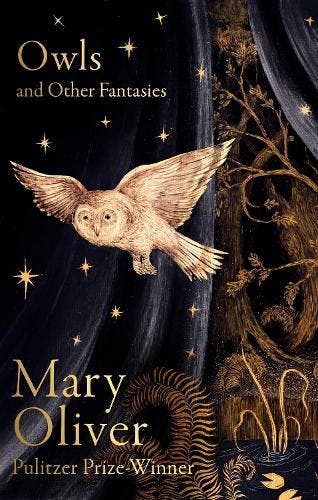 Owls And Other Fantasies | Oliver, Mary | Nieuw, Ophalen of Verzenden, Nieuw