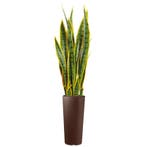 Sansevieria kunstplant, H115cm, Ophalen of Verzenden, Overige soorten, 100 tot 150 cm