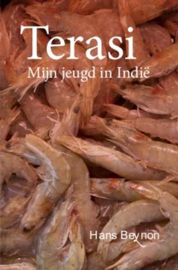 Terasi - Hans Beynon 9789460224416, Verzenden, Zo goed als nieuw, Hans Beynon