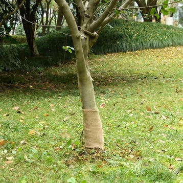vidaXL Jute rol 200 g/m² 0,25x5 m 100% jute, Verzenden, Nieuw