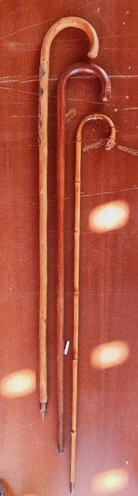 Wandelstok (3) - Hout