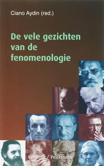 De vele gezichten van de fenomenologie 9789086870110, Verzenden, Gelezen