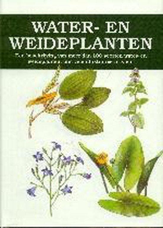 Water- en Weideplanten - V. Vetvicka 9789058410498, Boeken, Hobby en Vrije tijd, Gelezen, Verzenden