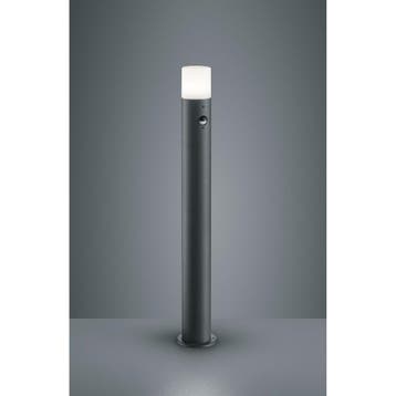 LED Tuinverlichting met Bewegingssensor - Staand Buitenlamp, Staande lamp, Nieuw, Ophalen of Verzenden, Led