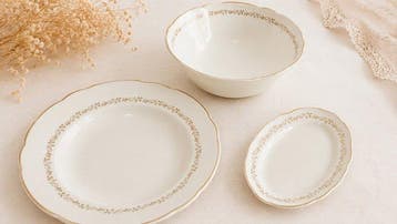 Villeroy & Boch - France-Saar (1947-1956) - Tafelservies (3)