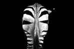 Viktoria Farkas - Natures Geometry - Never before