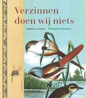 9789464713695 Verzinnen doen wij niets Marga Coesel, Verzenden, Nieuw, Marga Coesel