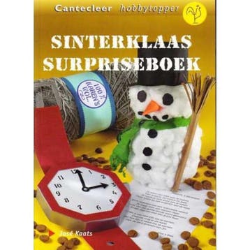Sinterklaas surpriseboek / Cantecleer hobbytopper - J. Kaats, Verzenden, Gelezen, J. Kaats