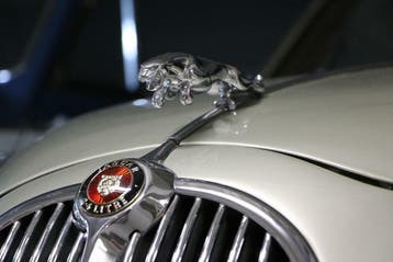 ** Gezocht Klassieke Jaguar Gevraagd **, Benzine, Jaguar
