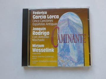 Mirjam Wesselink - Caminante, Ophalen of Verzenden, Zo goed als nieuw